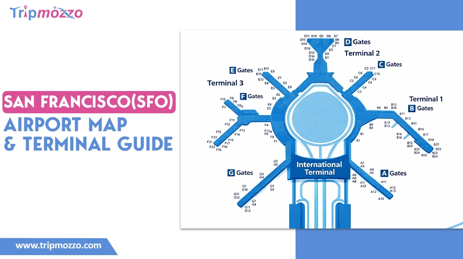 San Francisco (SFO) Airport Map & Terminal Guide� TripMozzo