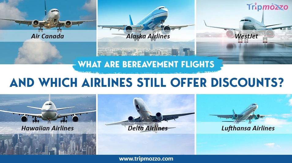 What Are Bereavement Flights and Which Airlines Still Offer Discounts? TripMozzo