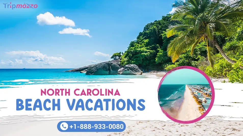 blogpost-banner-test