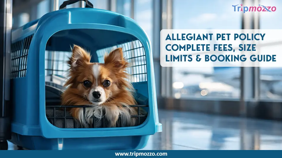 Allegiant Pet Policy 2026 - Complete Fees, Size Limits & Booking Guide TripMozzo