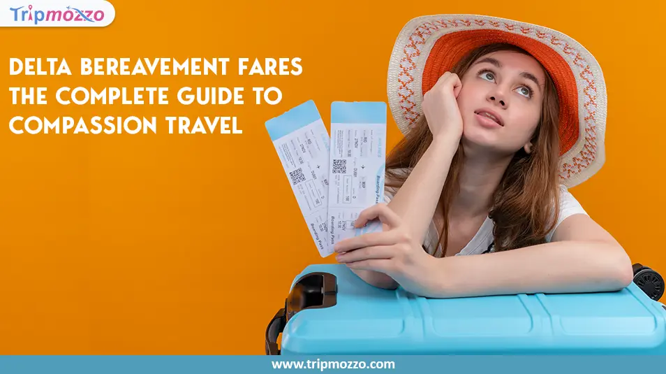 Delta Bereavement Fares 2026: The Complete Guide to Compassion Travel TripMozzo