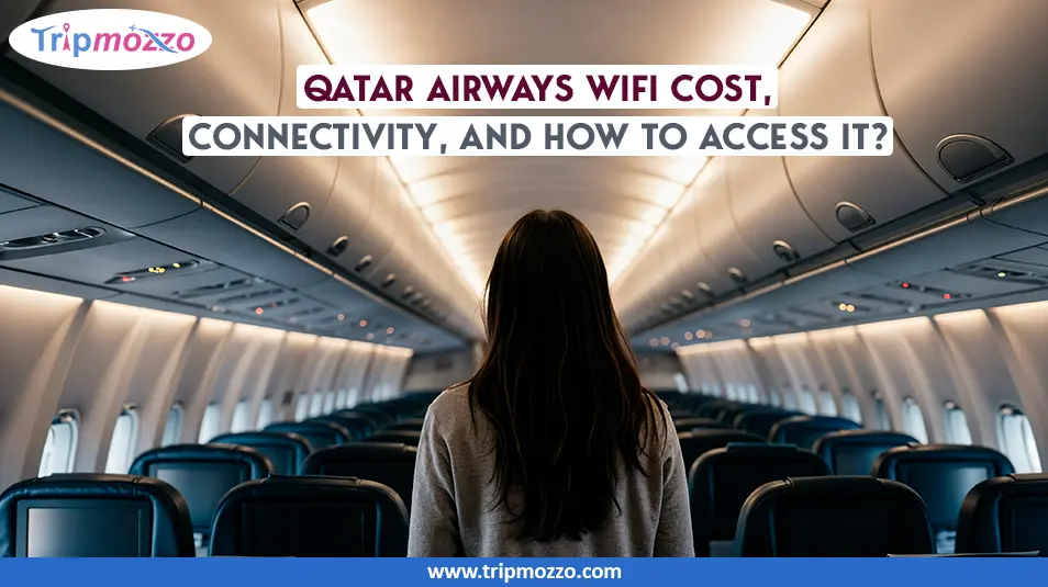 Qatar Airways WiFi Cost, Connectivity, and How to Access It? TripMozzo