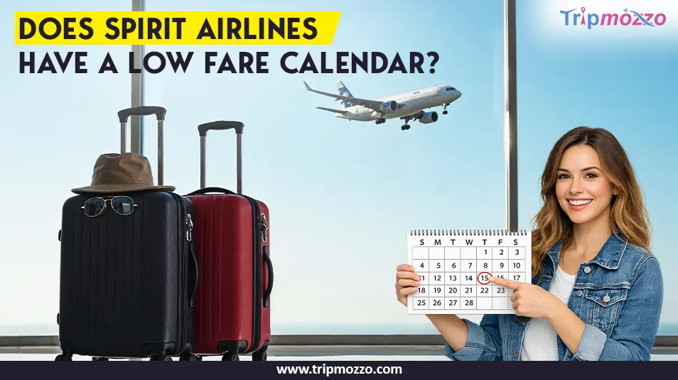 Does Spirit Airlines Have a Low Fare Calendar? TripMozzo