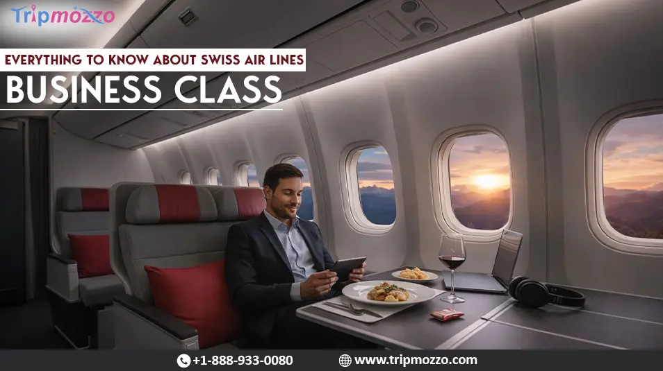 SWISS Business Class Review ? A330 vs A340 vs 777 (2026 Experience) TripMozzo