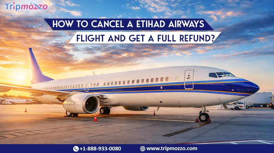 How to Cancel a Etihad Airways Flight and Get a Full Refund? TripMozzo