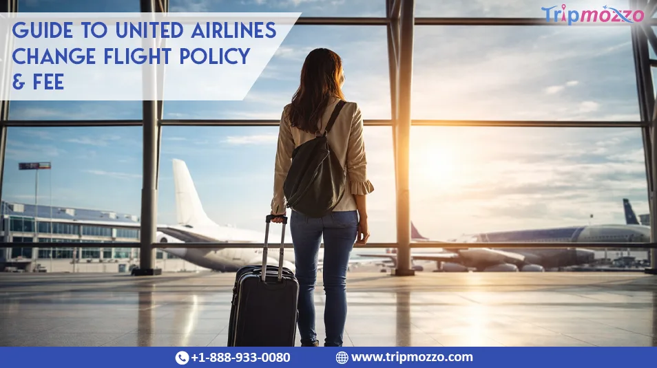 Guide to United Airlines Change Flight Policy & Fee TripMozzo