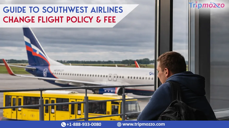 Guide to Southwest Airlines Change Flight Policy & Fee TripMozzo