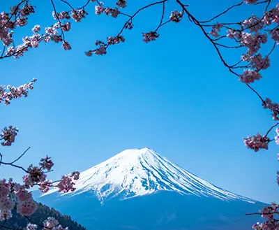 Cheap Flights to Japan TripMozzo