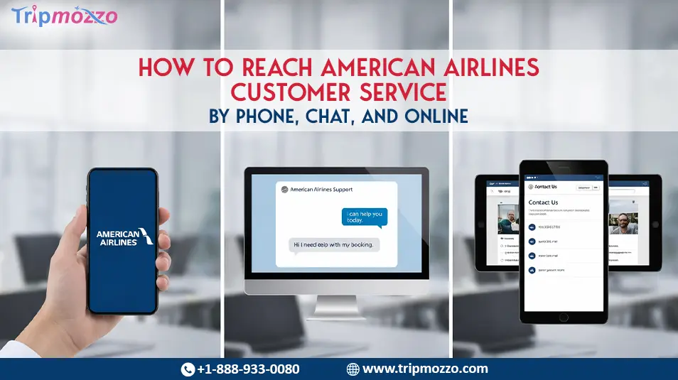 How to Reach American Airlines Customer Service by Phone, Chat, and Online TripMozzo