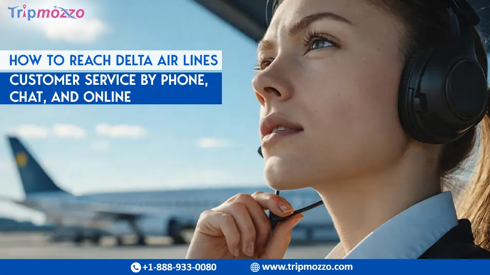 How to Reach Delta Air Lines Customer Service by Phone, Chat, and Online TripMozzo