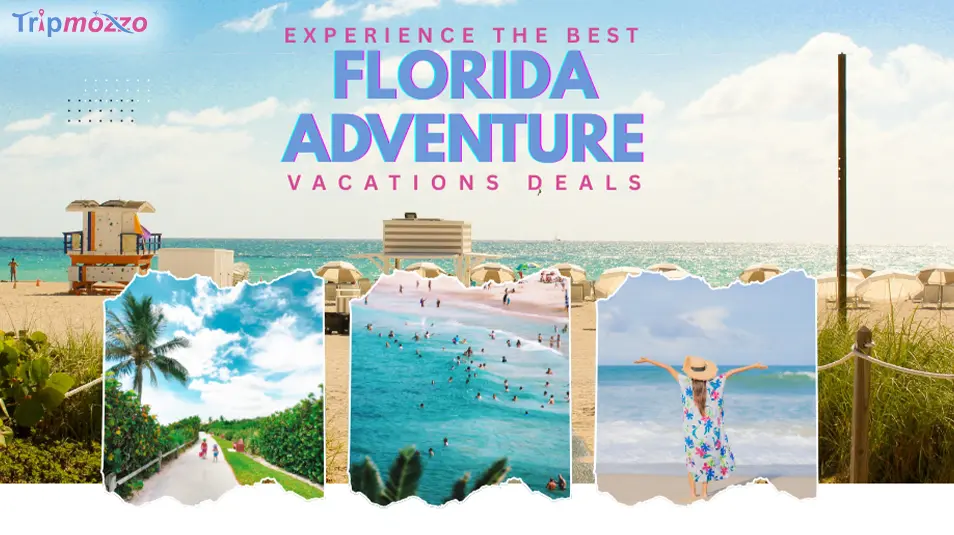 Experience the Best Florida Adventure Vacations Deals TripMozzo