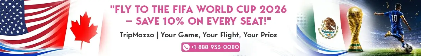 Fifa Cta Banner