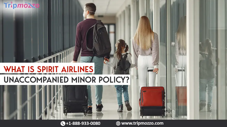 What Is Spirit Airlines Unaccompanied Minor Policy? TripMozzo