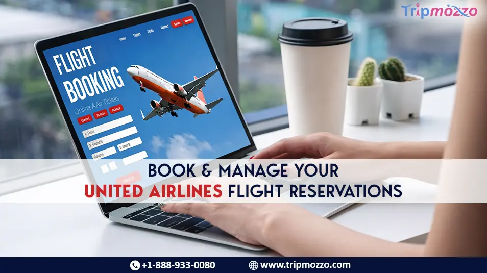 Book & Manage Your United Airlines Flight Reservations TripMozzo