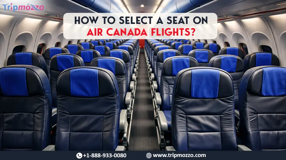 How to Select a Seat on Air Canada Flights? TripMozzo