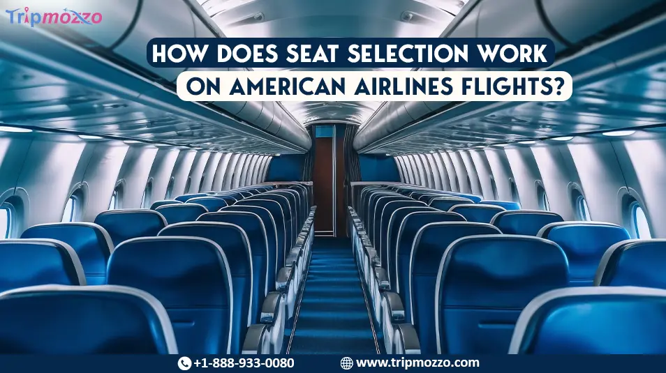 How Does Seat Selection Work on American Airlines Flights? TripMozzo